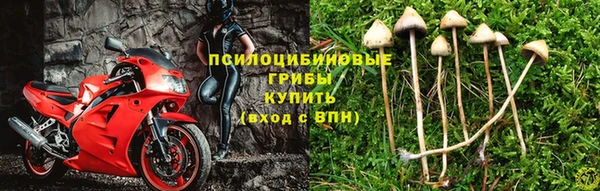 молекула духа Балабаново
