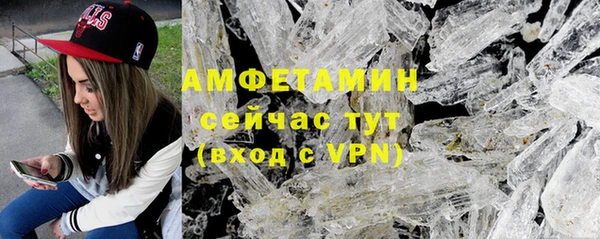 дмт Арсеньев